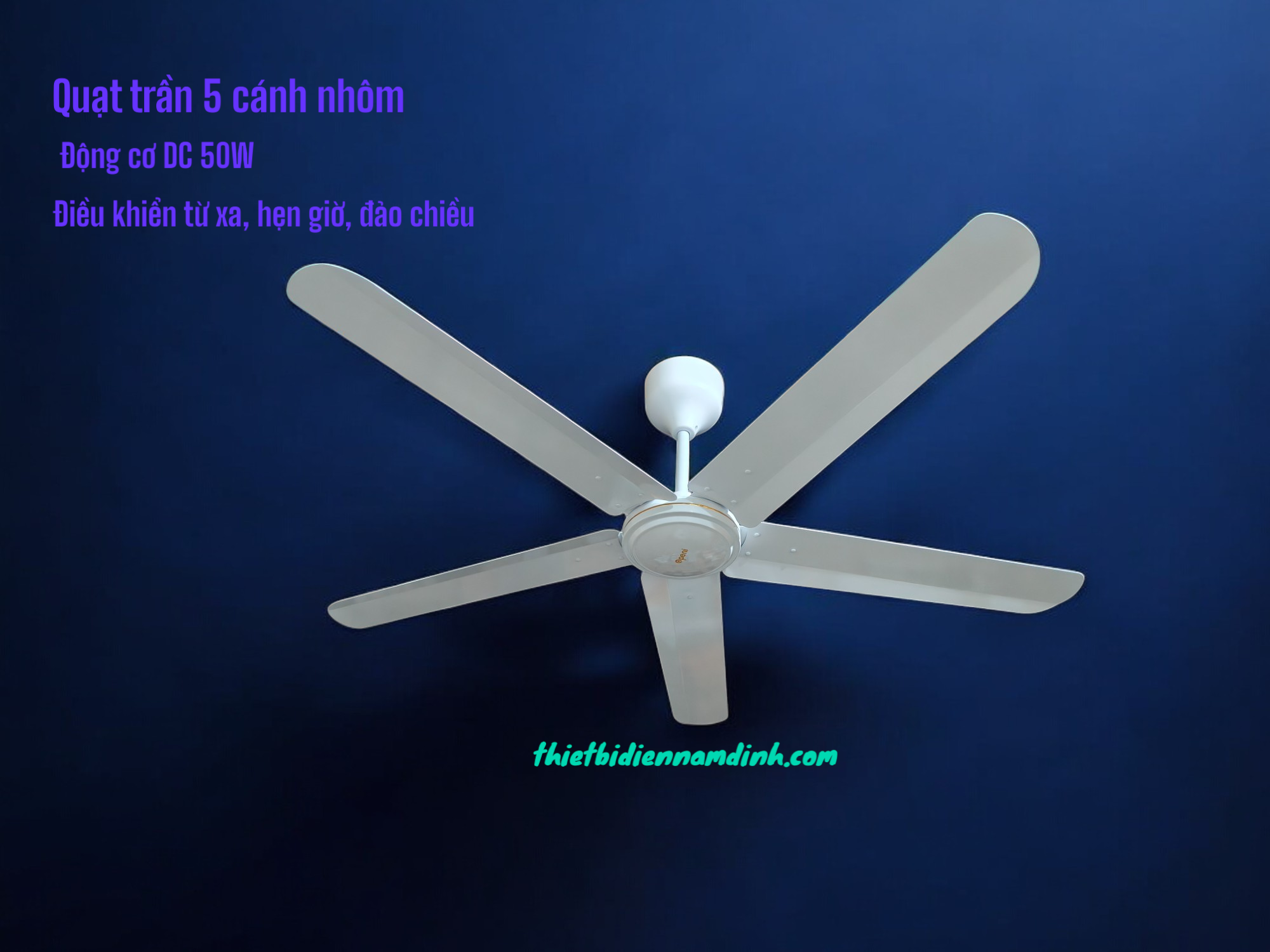 qt005n-Photoroom (1)