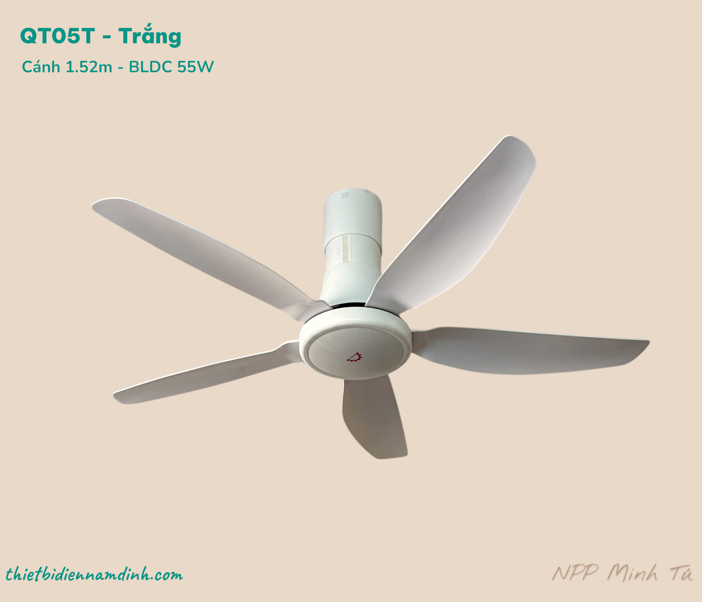 qt05TT (1)